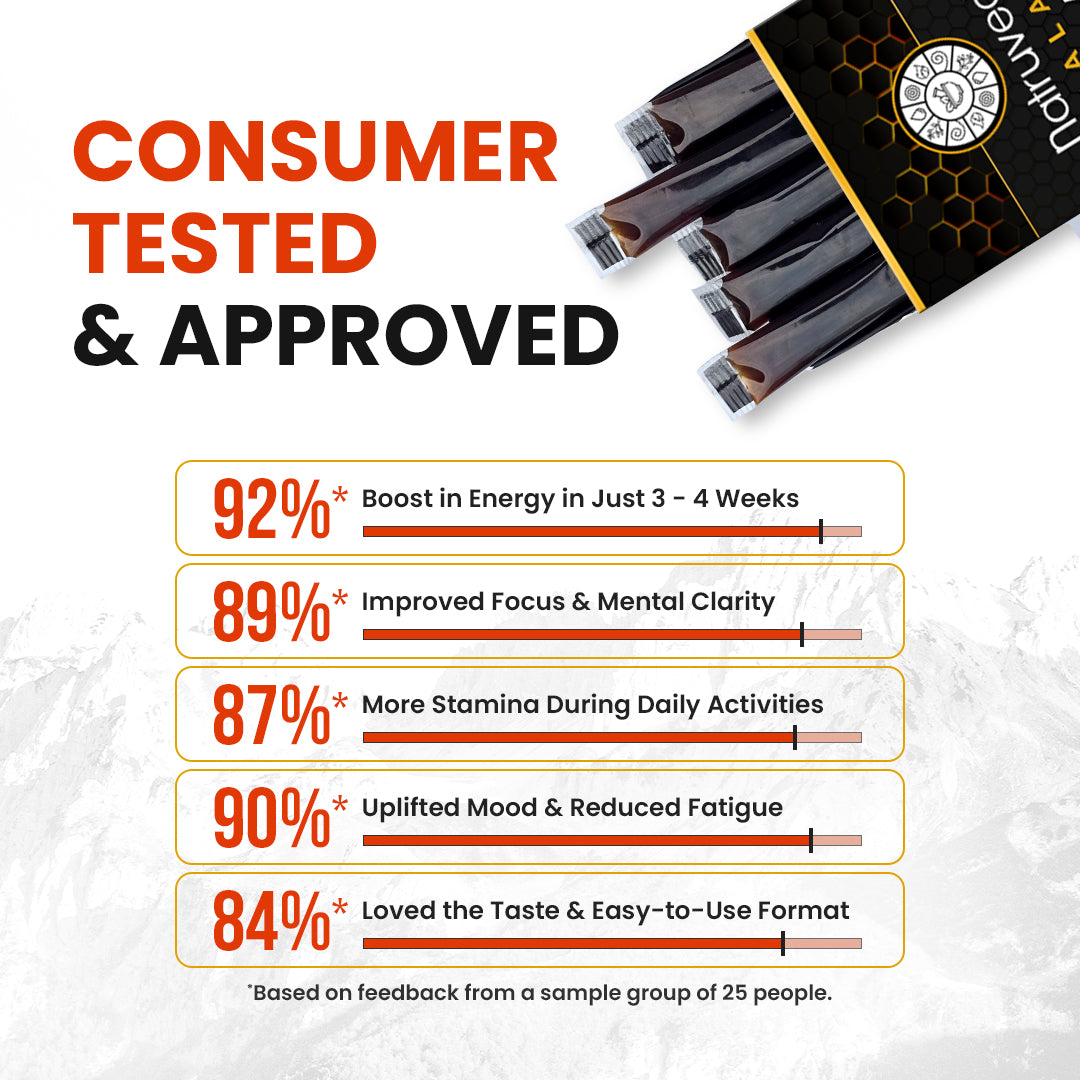 Shilajit Honey Sticks – Pure Himalayan Shilajit Resin Infused with Natural Honey